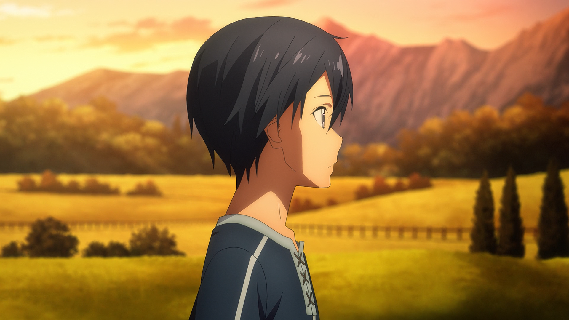 Sword Art Online: Alicization (Hoshizora)